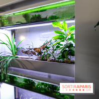 La Caverne, ferme urbaine bio à Paris, nos photos - IMG 2200