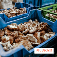 La Caverne, ferme urbaine bio à Paris, nos photos - IMG 2221