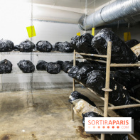 La Caverne, ferme urbaine bio à Paris, nos photos - IMG 2228