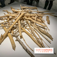 Suzanne Husky au Drawing Lab - IMG 4190