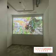 Suzanne Husky au Drawing Lab - IMG 4205