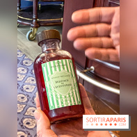 Disneyland Hotel à Disneyland Paris bar fleur de lys