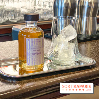 Disneyland Hotel à Disneyland Paris bar fleur de lys