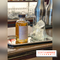 Disneyland Hotel à Disneyland Paris bar fleur de lys