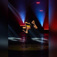 Festival Mondial du Cirque de Demain 2024, les photos  -  A7C2712