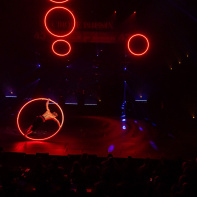 Festival Mondial du Cirque de Demain 2024, les photos