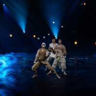 Festival Mondial du Cirque de Demain 2024, les photos