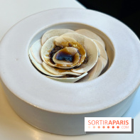 Vaisseau d'Adrien Cachot - Champignons