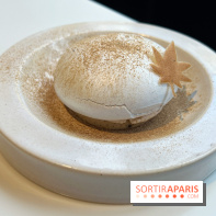 Vaisseau d'Adrien Cachot - Mont Blanc champignons