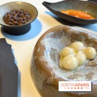 Vaisseau d'Adrien Cachot - Mochi