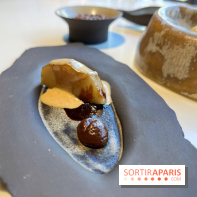 Vaisseau d'Adrien Cachot - Topinambour