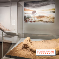 Dans la Seine : une expo de la Crypte archéologique dévoile les objets retrouvés dans la Seine  - IMG20240130101744