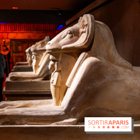 Toutankhamon, l'expérience immersive Pharaonique - les photos -  A7C4229