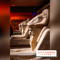 Toutankhamon, l'expérience immersive Pharaonique - les photos -  A7C4230