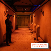 Toutankhamon, l'expérience immersive Pharaonique - les photos -  A7C4234