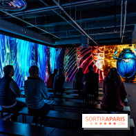 Toutankhamon, l'expérience immersive Pharaonique - les photos -  A7C4363