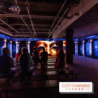 Toutankhamon, l'expérience immersive Pharaonique - les photos -  A7C4370