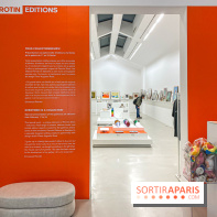 Exposition Perrotin Editions : Tous Collectionneurs ! à la galerie Perrotin - IMG 4263