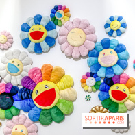 Exposition Perrotin Editions : Tous Collectionneurs ! à la galerie Perrotin - IMG 4289