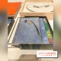 Exposition Perrotin Editions : Tous Collectionneurs ! à la galerie Perrotin - IMG 4296