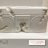 Exposition Perrotin Editions : Tous Collectionneurs ! à la galerie Perrotin - IMG 4315