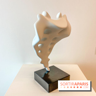 Exposition Perrotin Editions : Tous Collectionneurs ! à la galerie Perrotin - IMG 4319