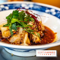 Nouilles Ban Ban restaurant  -  raviolis