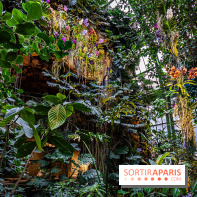 1001 Orchidées 2024, les photos de l'exposition florale dans les Grandes Serres du Muséum