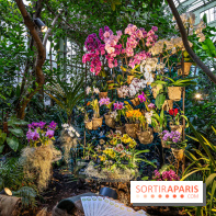 1001 Orchidées 2024, les photos de l'exposition florale dans les Grandes Serres du Muséum