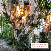 1001 Orchidées 2024, les photos de l'exposition florale dans les Grandes Serres du Muséum