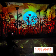 L'Egypte des Pharaons, de Khéops à Ramsès II : l'exposition immersive de l'Atelier des Lumières - IMG20240208095026