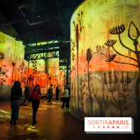 L'Egypte des Pharaons, de Khéops à Ramsès II : l'exposition immersive de l'Atelier des Lumières - IMG20240208095030