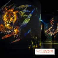 Les Orientalistes, l'exposition de l'Atelier des Lumières qui nous fait voyager en Orient - photos - IMG20240208103016