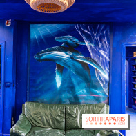 Colors Festival 2024, la nature reprend ses droits  -  A7C5744