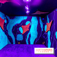 Colors Festival 2024, la nature reprend ses droits  -  A7C5719