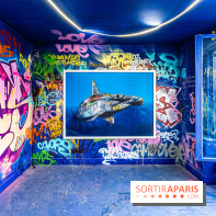 Colors Festival 2024, la nature reprend ses droits  -  A7C5734