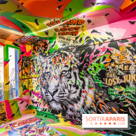 Colors Festival 2024, la nature reprend ses droits  -  A7C5763