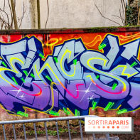 Colors Festival 2024, la nature reprend ses droits  -  A7C5773