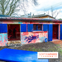 Colors Festival 2024, la nature reprend ses droits  -  A7C5783