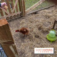 Demeures de Campagne : une évasion verte et cocooning à 35 minutes de Paris  - IMG 4369