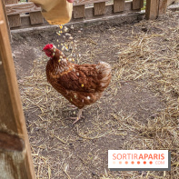 Demeures de Campagne : une évasion verte et cocooning à 35 minutes de Paris  - IMG 4371