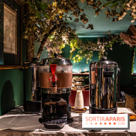 Hôtel Napoléon à Fontainebleau - SPA, bar et restaurant