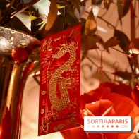 Visuels Nouvel An Lunaire / Nouvel An Chinois - DSC 0638