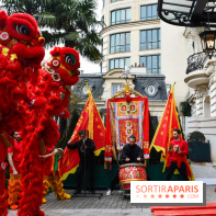 Visuels Nouvel An Lunaire / Nouvel An Chinois - DSC 0628