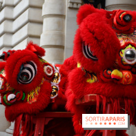 Visuels Nouvel An Lunaire / Nouvel An Chinois - DSC 0612