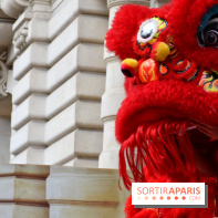 Visuels Nouvel An Lunaire / Nouvel An Chinois - DSC 0598