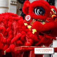 Visuels Nouvel An Lunaire / Nouvel An Chinois - DSC 0583