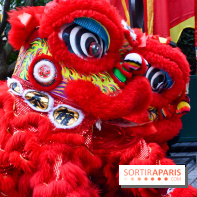 Visuels Nouvel An Lunaire / Nouvel An Chinois - DSC 0551