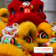 Visuels Nouvel An Lunaire / Nouvel An Chinois - DSC 0519