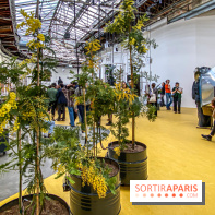 Exposition Signal de Mohamed Bourouissa au Palais de Tokyo - IMG 4480